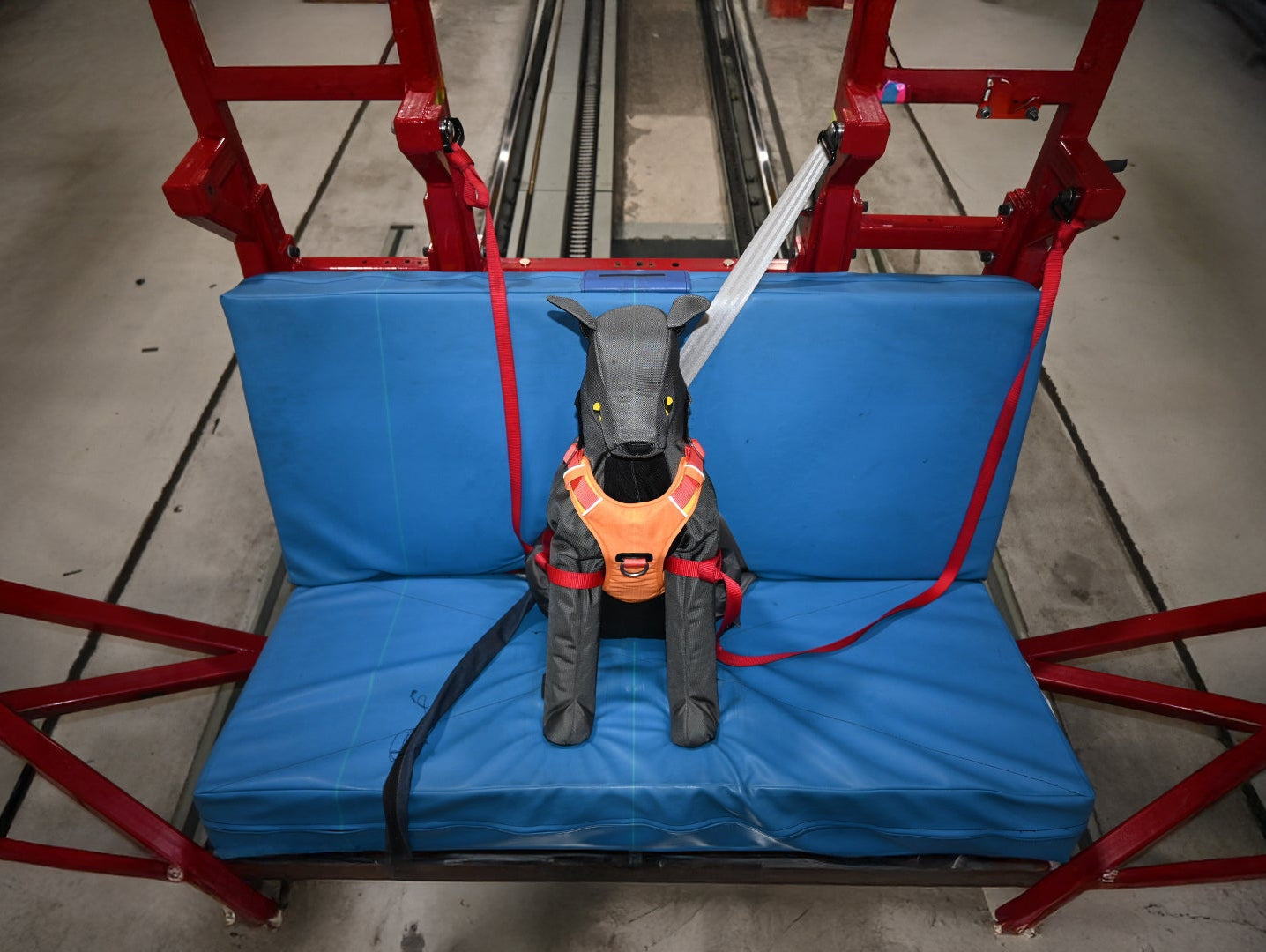 Bark Belt Crash Test Dummy in Crash Test