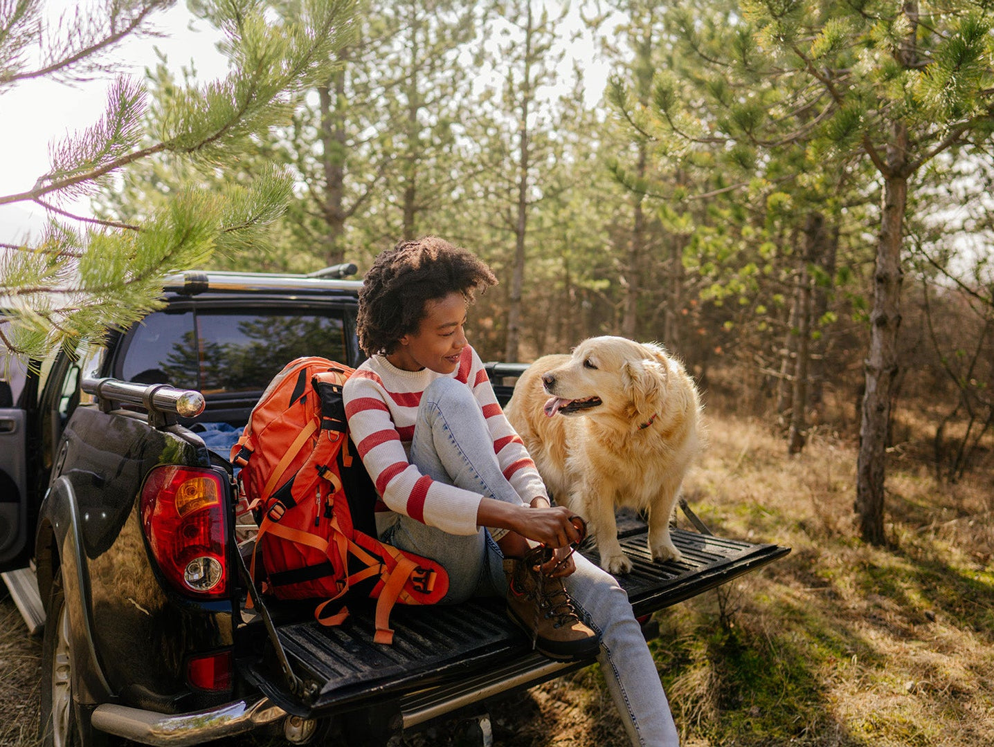 Dog after riding with crash tested dog seat belt on adventure