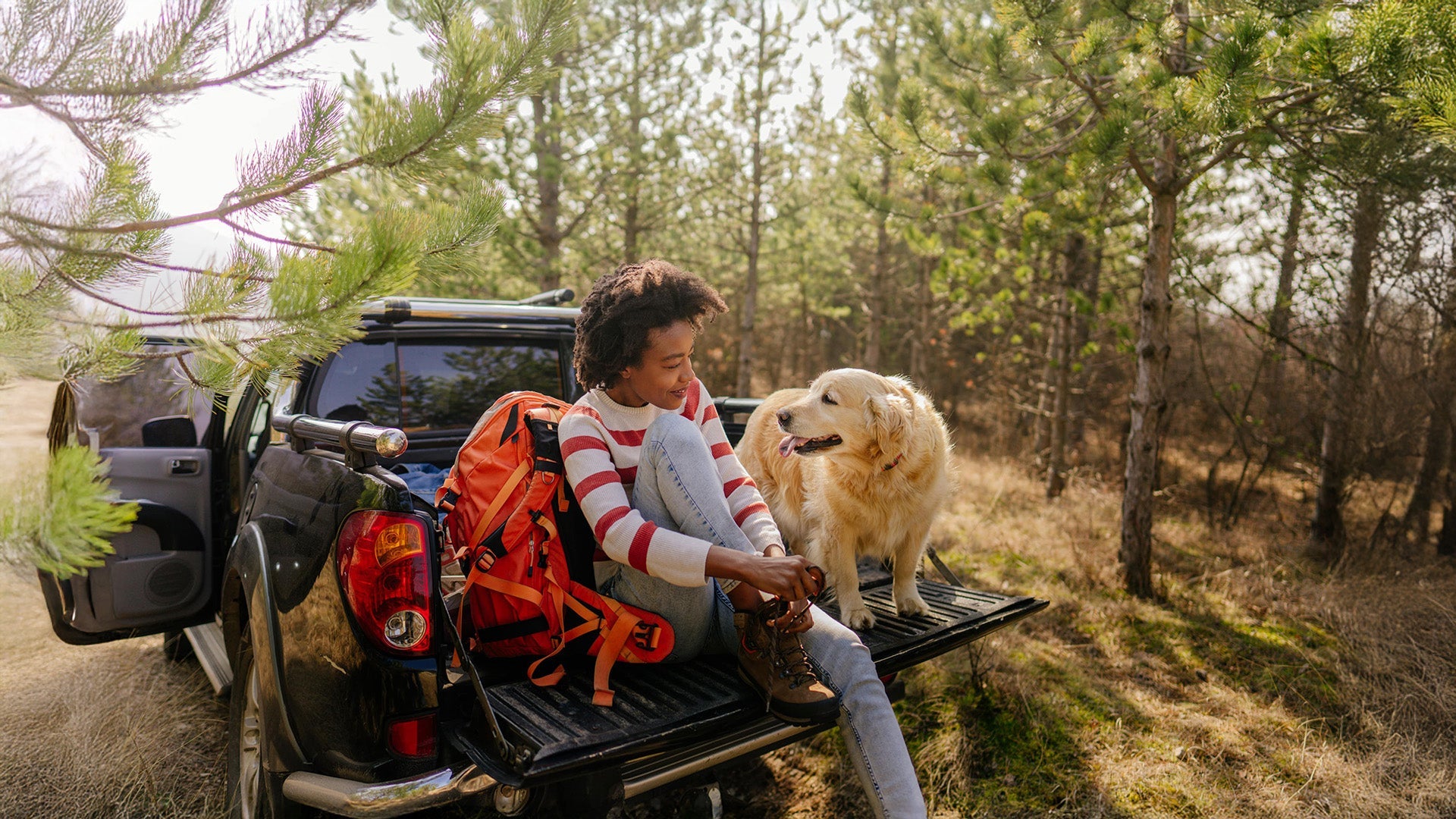 Dog after riding with crash tested dog seat belt on adventure