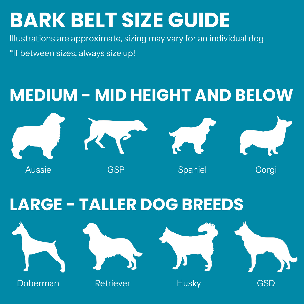 Bark Belt size guide